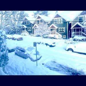 Meet your Posher, Susie